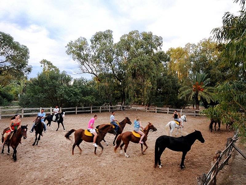 Mehrere Personen reiten auf Pferden in einer Reitschule des Sahara Beach AquaPark Resorts.
