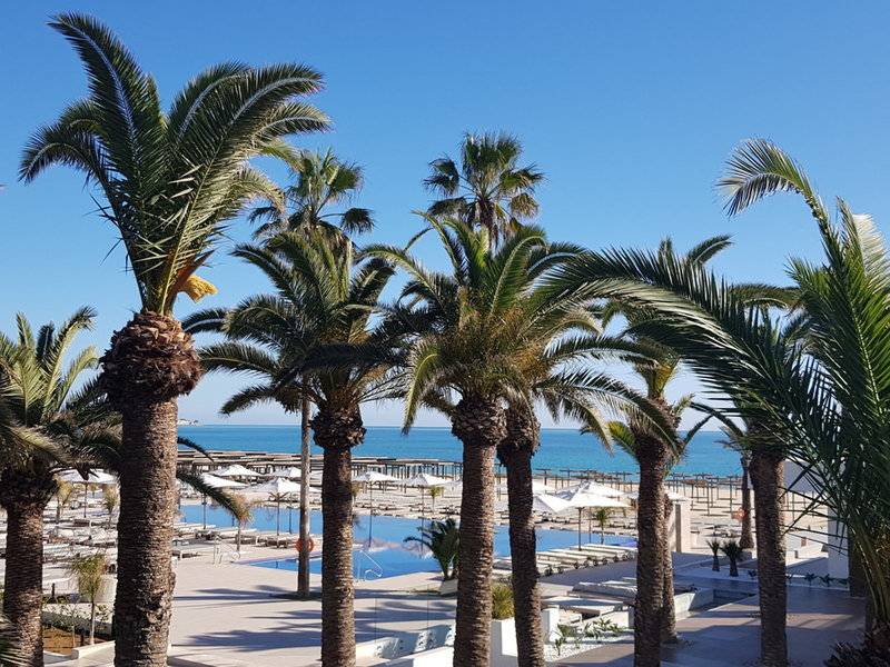 Palmen auf dem Gelände des Hotels Orangers Garden Villas & Bungalows mit Blick auf den Pool und das Meer