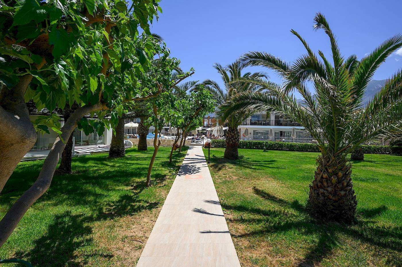Vantaris Palace - Georgioupolis, Kreta