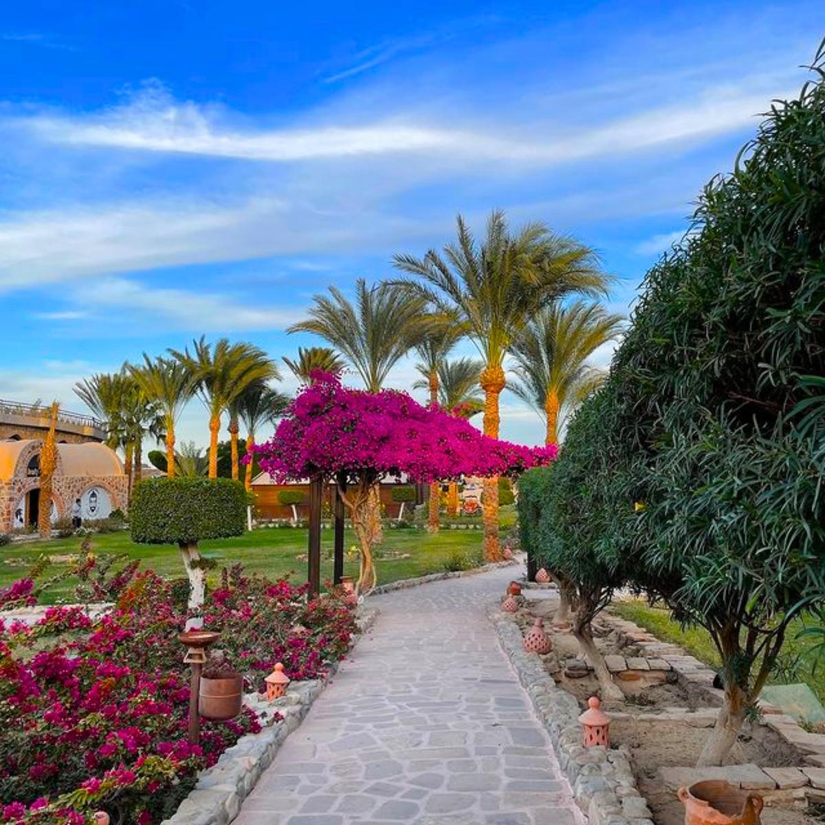 Gartenweg mit bunten Blumen und Palmen zum Utopia Beach Club Hotel.
