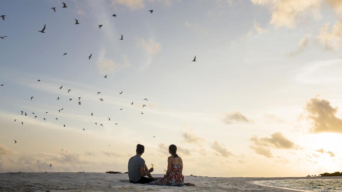 Paar auf dem Strand bei Sonnenuntergang, umgeben von Vögeln im Himmel