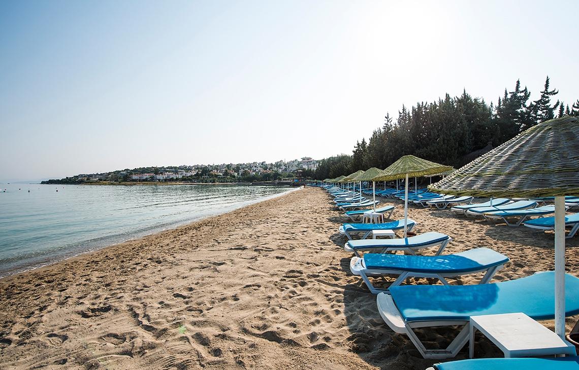 Reihen von blauen Sonnenliegestühlen und Sonnenschirmen auf einem sandigen Strand.