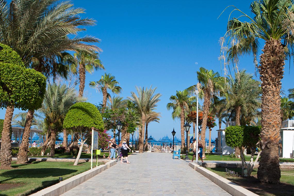 Allee im Grand Hotel Hurghada mit Palmen und Gehweg bei blauem Himmel