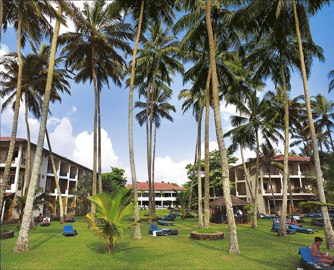 Außenbereich des Mermaid Hotel & Club mit hohen Palmen und blauen Sonnenliegen.