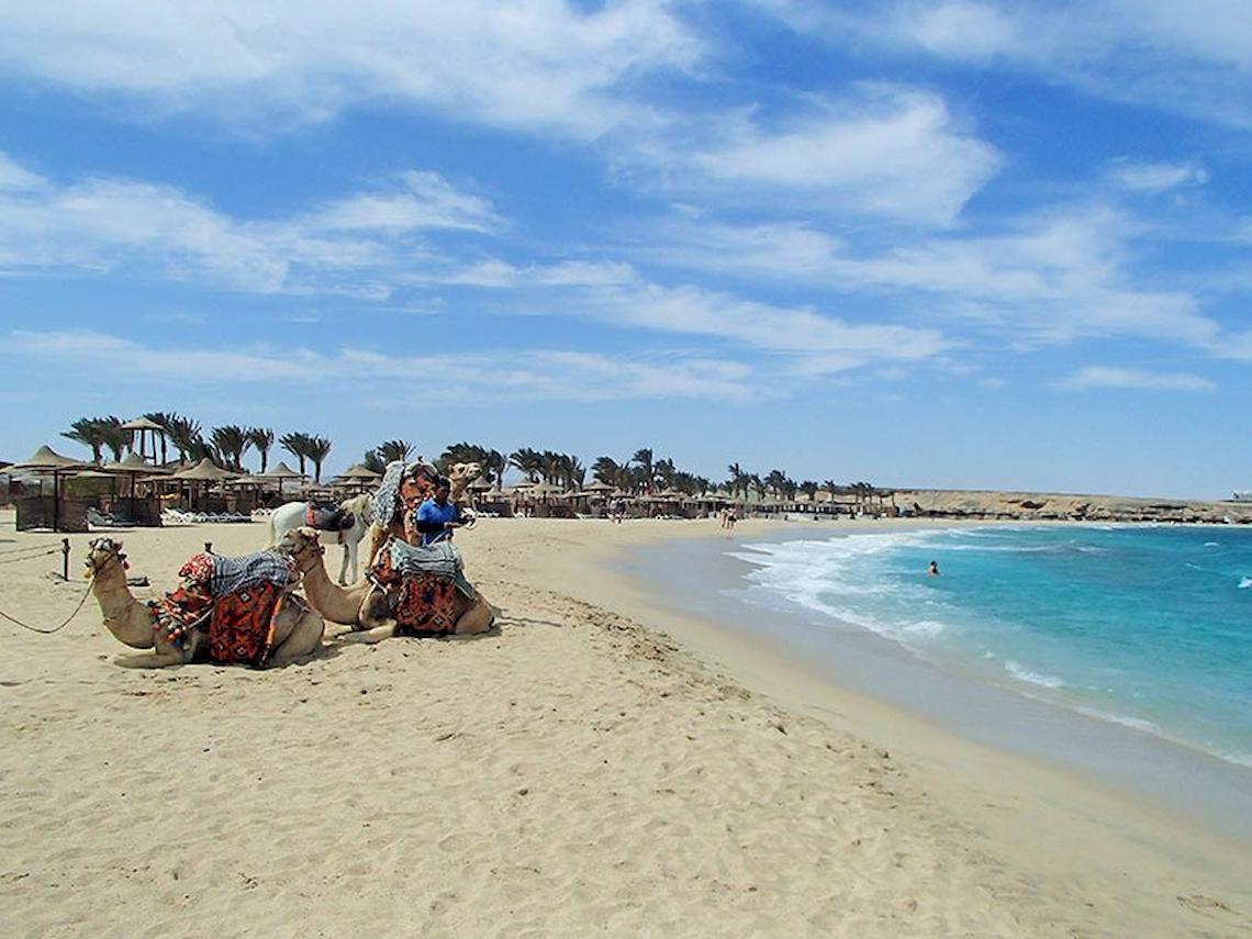Strand am Malikia Resort Abu Dabbab mit Kamelen und blauem Meer