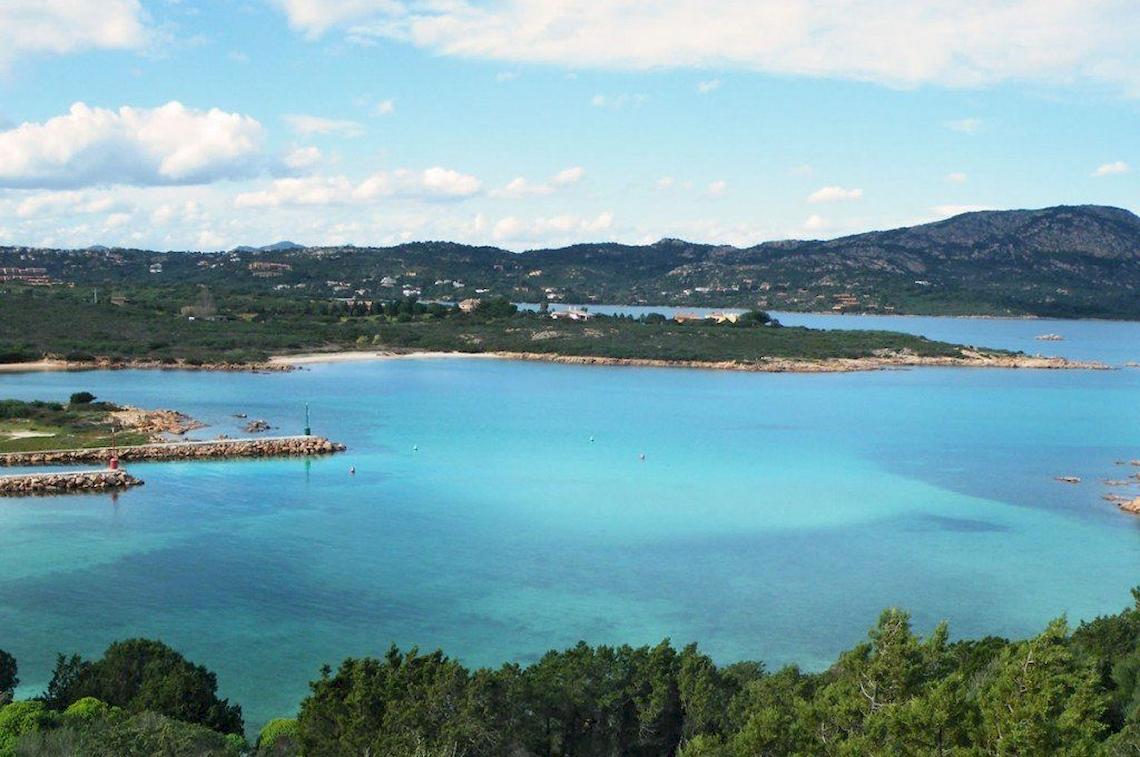 Aussicht auf den Hafen des Hotel Ollastu Resort mit blauem Wasser und grünen Bäumen