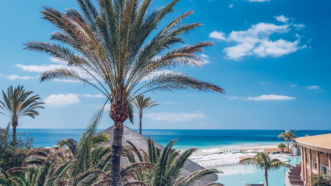 Blick auf den Strand und Palmen vom Iberostar Selection Fuerteventura Palace Hotel