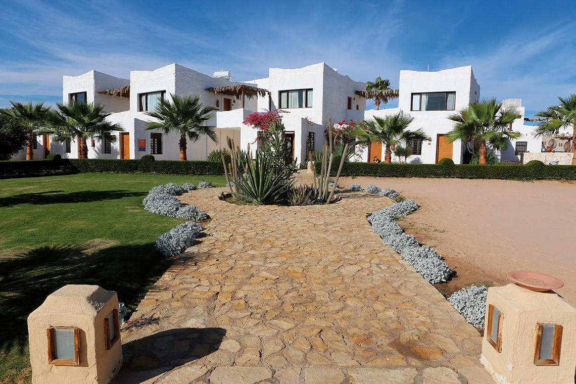 Außenansicht des Sharm Club Beach Resorts mit weißen Gebäuden, steinernem Weg und Palmen.