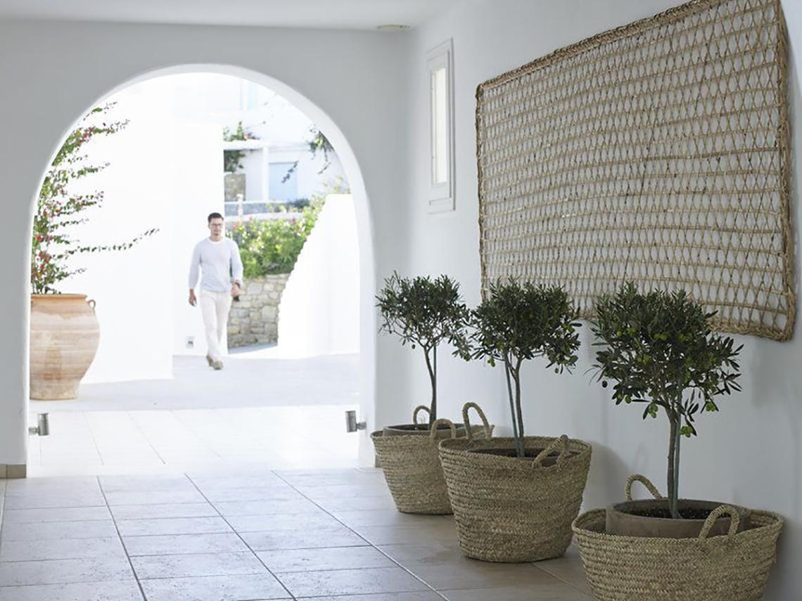 Eingangsbereich des Rocabella Mykonos Art Hotel mit weißen Wänden, einem Mann im Hintergrund und drei Olivenbäumen in großen Körben.