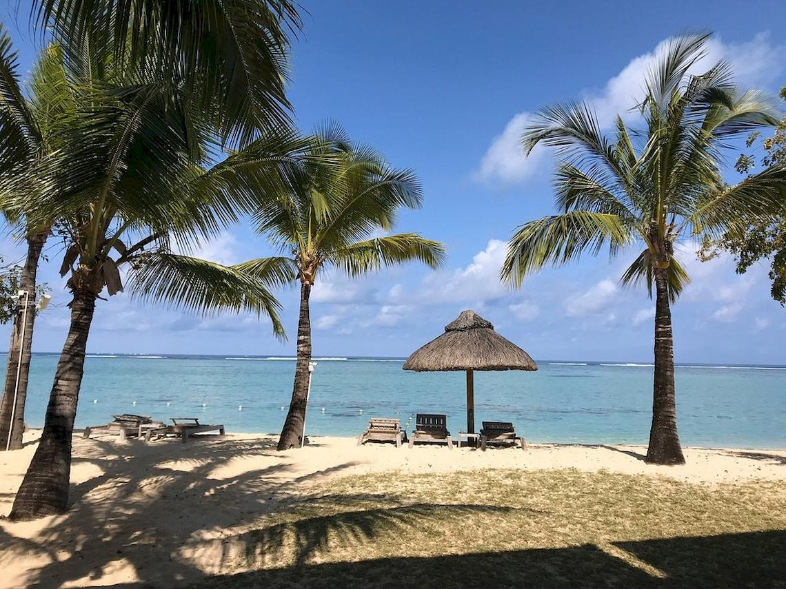 JW Marriott Strand mit Palmen, Sonnenliegen und einem Strohdach-Sonnenschirm.