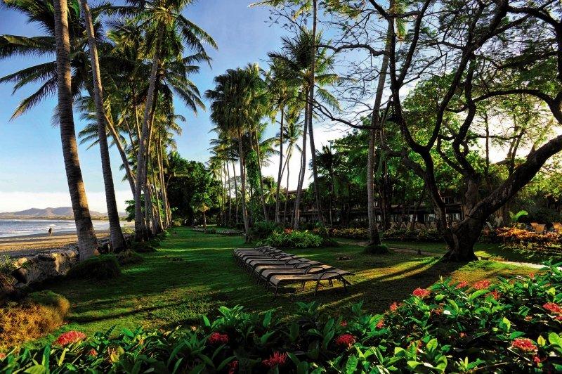 Gartenbereich des Tamarindo Diria Beach Resorts mit Palmen, Liegestühlen und bunten Blumen.