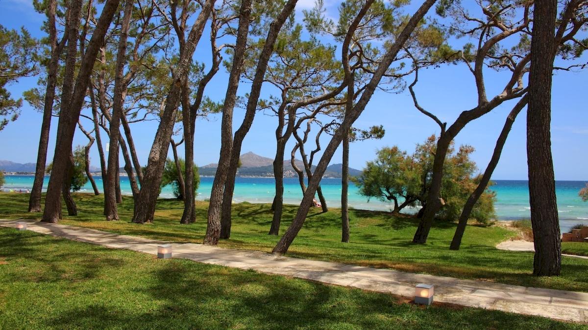 Ein Weg am Iberostar Playa de Muro Hotel mit Zypressen und Blick auf das Meer.