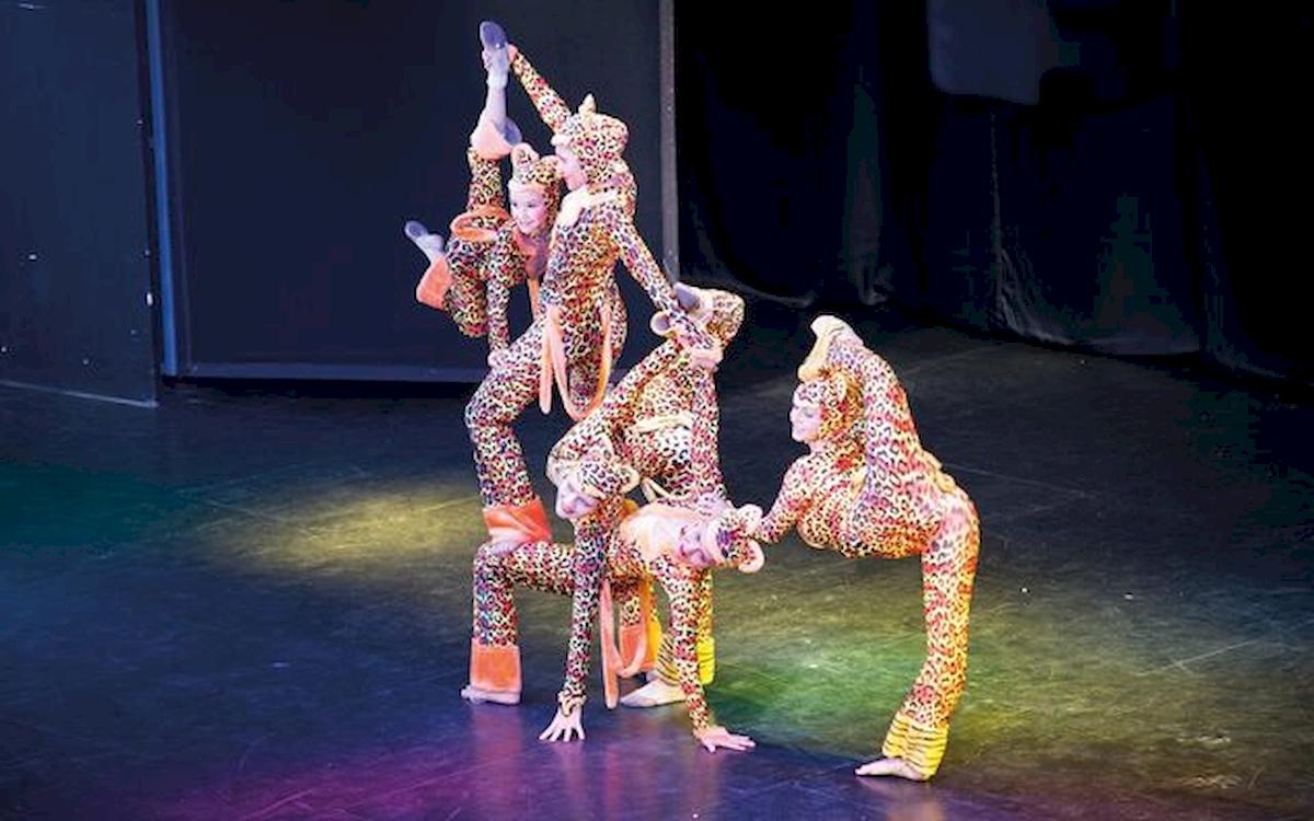 Akrobaten in bunten Leoparden-Kostuemen fuehren eine Show auf der Buehne durch.