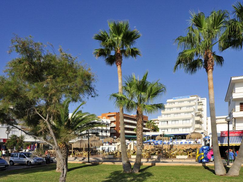 Vorplatz des R2 Veronica Beach Hotels mit hohen Palmen und einem weißen Gebäude im Hintergrund.