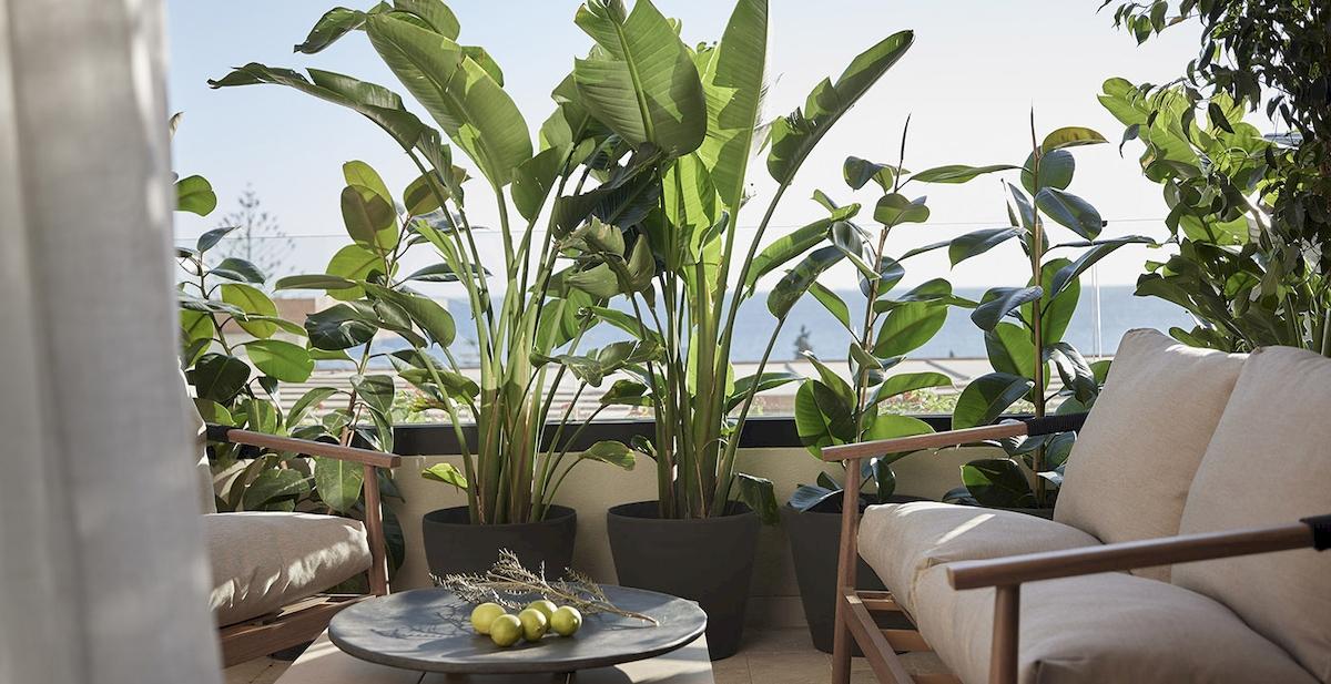 Balkon des Helea Lifestyle Beach Resort mit Blick auf das Meer und großen Pflanzen