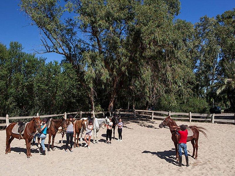 Gruppe von Reitern und Pferden im Sahara Beach AquaPark Resort