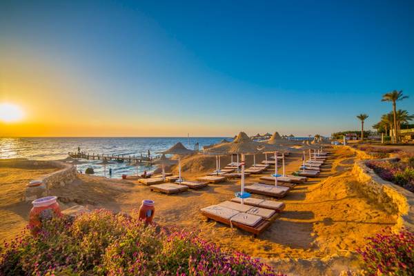 Hurghada Ferien, Strand, Palmen, Ferien in Hurghada