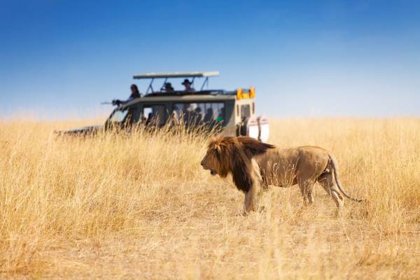 Familienferien Kenia Safari, Ferien, Badeferien