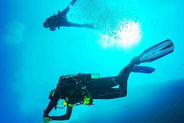 Scuba-Taucher schwimmen im Meer und erkunden die Unterwasserwelt.