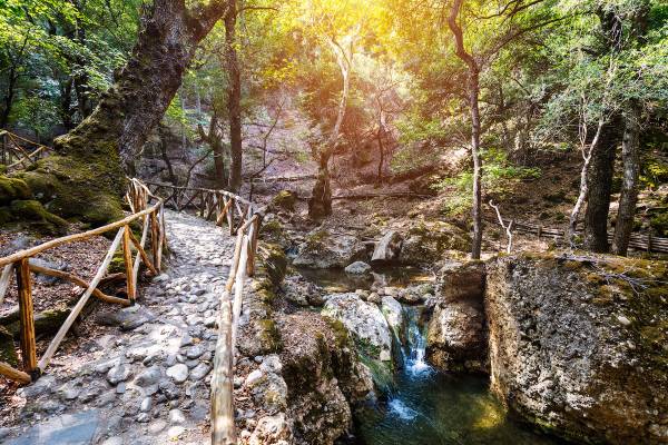 Ausflug auf Rhodos ins Schmetterlingstal