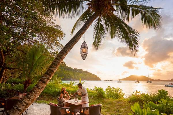 Mann serviert abendessen unter einer palme im constance ephelia resort