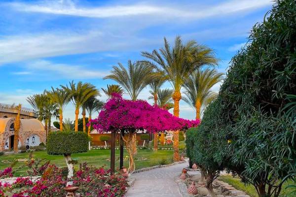 Gartenweg mit bunten Blumen und Palmen zum Utopia Beach Club Hotel.