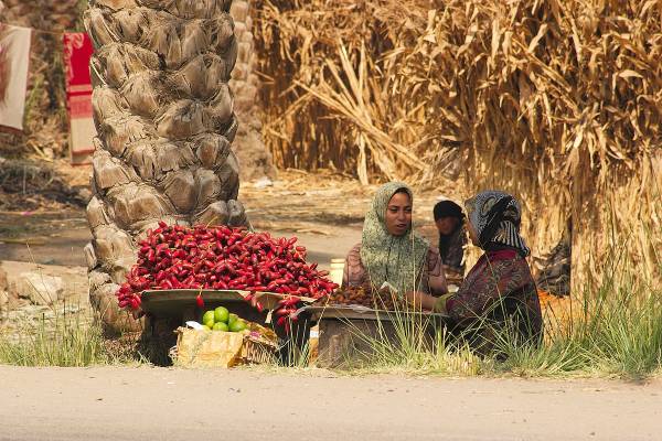 Einheimische Frauen auf Markt in Ägypten