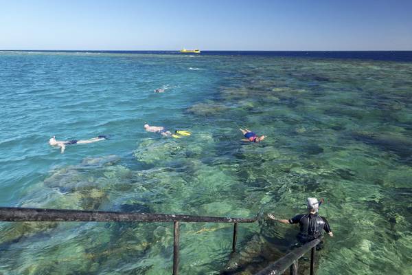 Snorkel-Taucher am Riff, Blick auf das Meer und das Boot