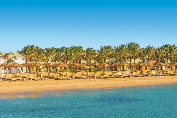 Strand des Sunrise Royal Makadi Resort mit Sonnenliegen und Palmen