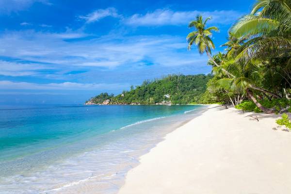 Weißer Strand mit Palmen am Kempinski Seychelles Resort
