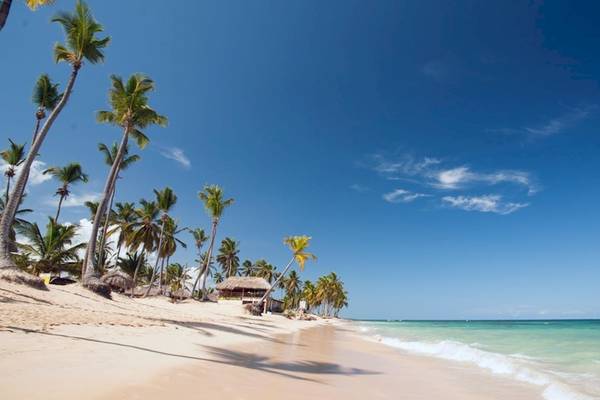 Strand mit Palmen und kleinen Haeusen am Meer unter einem blauen Himmel