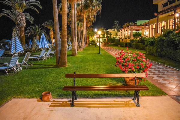 Ein Garten des Creta Star Hotels mit einer Bank, Blumen und Sonnenliegen bei Nacht.