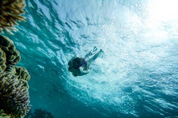 Eine Person schnorchelt im Meer neben Korallenriffen im Robinson Maldives.