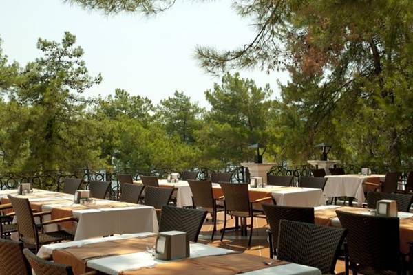 Außenterrasse des Grand Yazici Club Marmaris Palace mit Tischen und Stühlen unter Bäumen