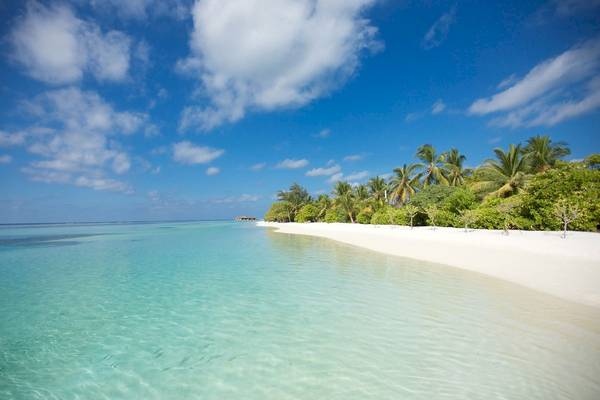 Luxuriöse Strandszene im South Ari Atoll mit kristallklarem Wasser und grünen Palmen.
