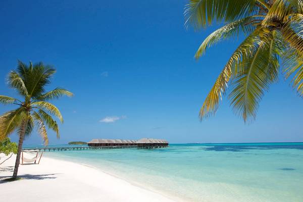Strand des LUX South Ari Atoll mit weißen Palmen und Wasserbungalows