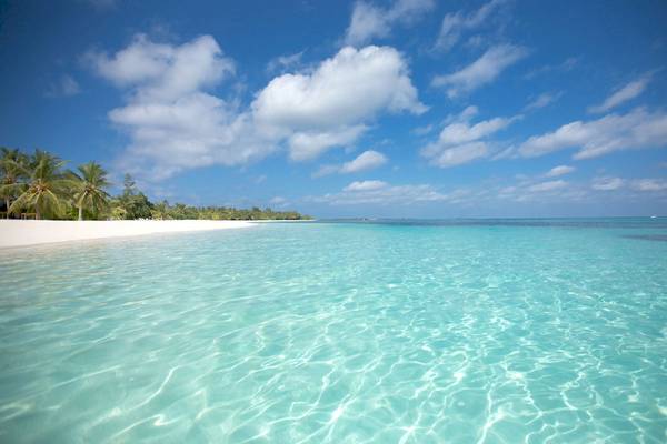 Strand des LUX South Ari Atoll Hotels mit kristallklarem Wasser und blauem Himmel
