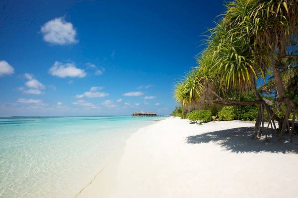 Strand des LUX South Ari Atoll Hotels mit weißen Sand und blauem Himmel