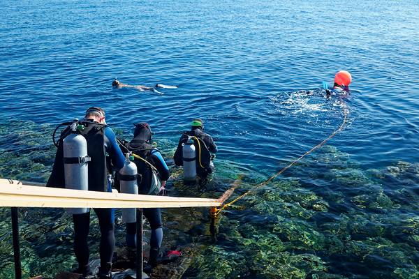 Taucher im Meer, Vorbereitung zum Tauchen mit Ausrüstung und leuchtendem Rettungsboje