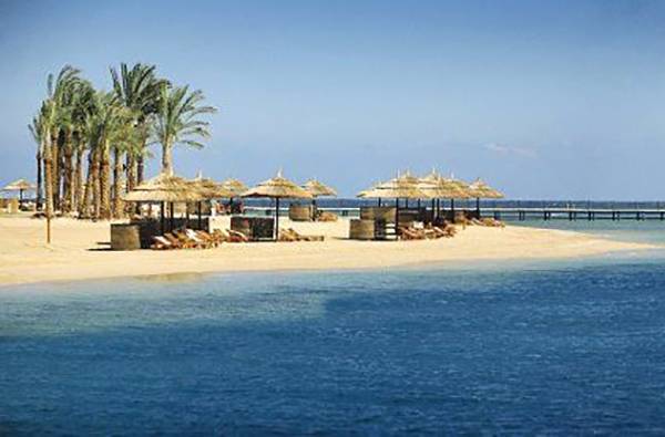 Strand des Pickalbatros The Palace Port Ghalib mit Palmen und Sonnenliegen.