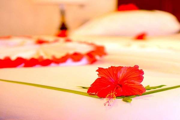 Rote Hibiskusblume auf einem Bett im Biyadhoo Island Resort