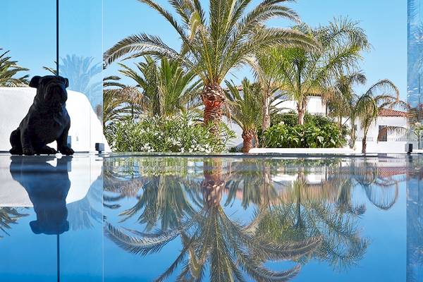 Ein Hotelpool mit Palmen und schwarzen Hundefiguren