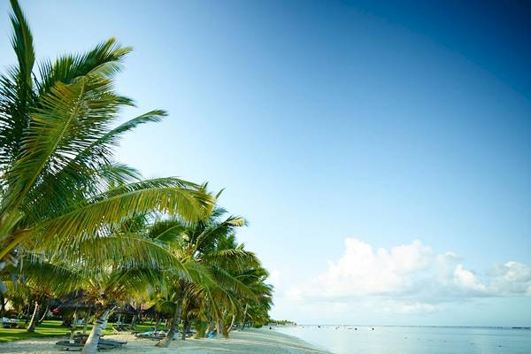 Strand mit Palmen und Liegen im LUX Le Morne Hotel