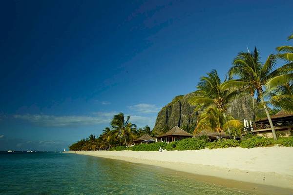 Strand des LUX Le Morne Hotels mit weißen Palmen und einem Felsen im Hintergrund.