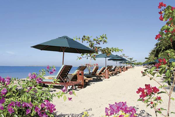 Reihe von Liegestühlen unter grünen Sonnenschirmen am Strand des Prama Sanur Beach Bali Hotels