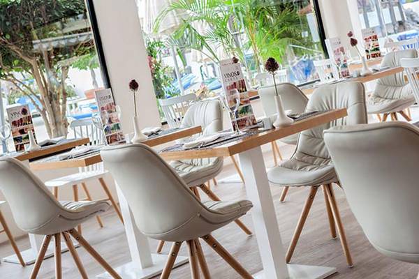 Innenansicht eines Restaurants mit weißen Stühlen und Tischen, Blick durch große Fenster auf Bäume und Autos draußen.