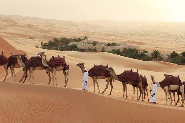 Karawane mit beladenen Kamelen in den Sanddünen von Qasr Al Sarab Desert Resort