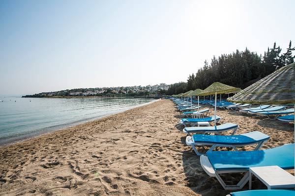 Reihen von blauen Sonnenliegestühlen und Sonnenschirmen auf einem sandigen Strand.