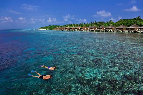 Zwei Personen schnorcheln vor dem Hotel Kuramathi Maldives.