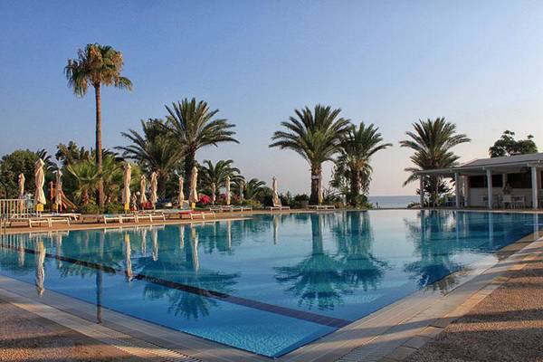 Ein großer Swimmingpool im Freien mit Palmen und Sonnenliegen am Crystal Springs Beach Hotel.